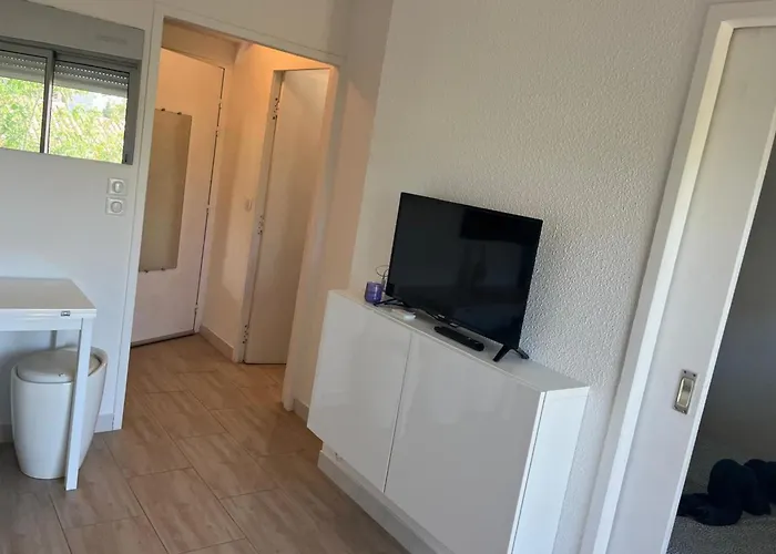 Apartment 1 Bedroom With Balcony Near The *