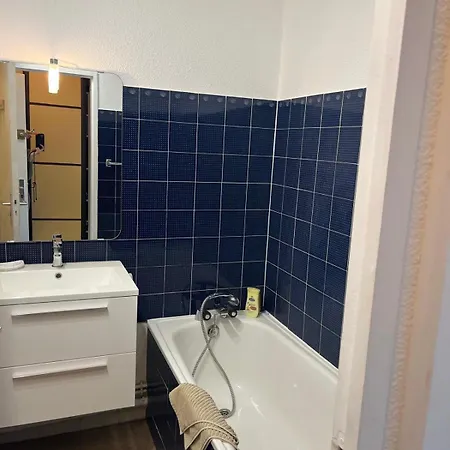 Apartment 1 Bedroom With Balcony Near The *