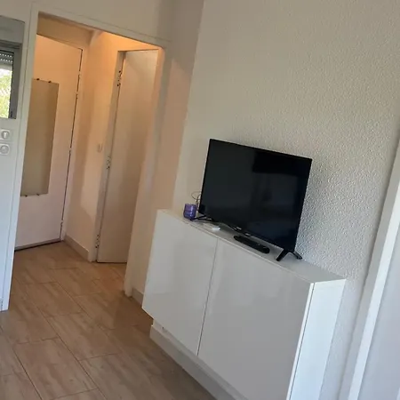 Apartment 1 Bedroom With Balcony Near The *
